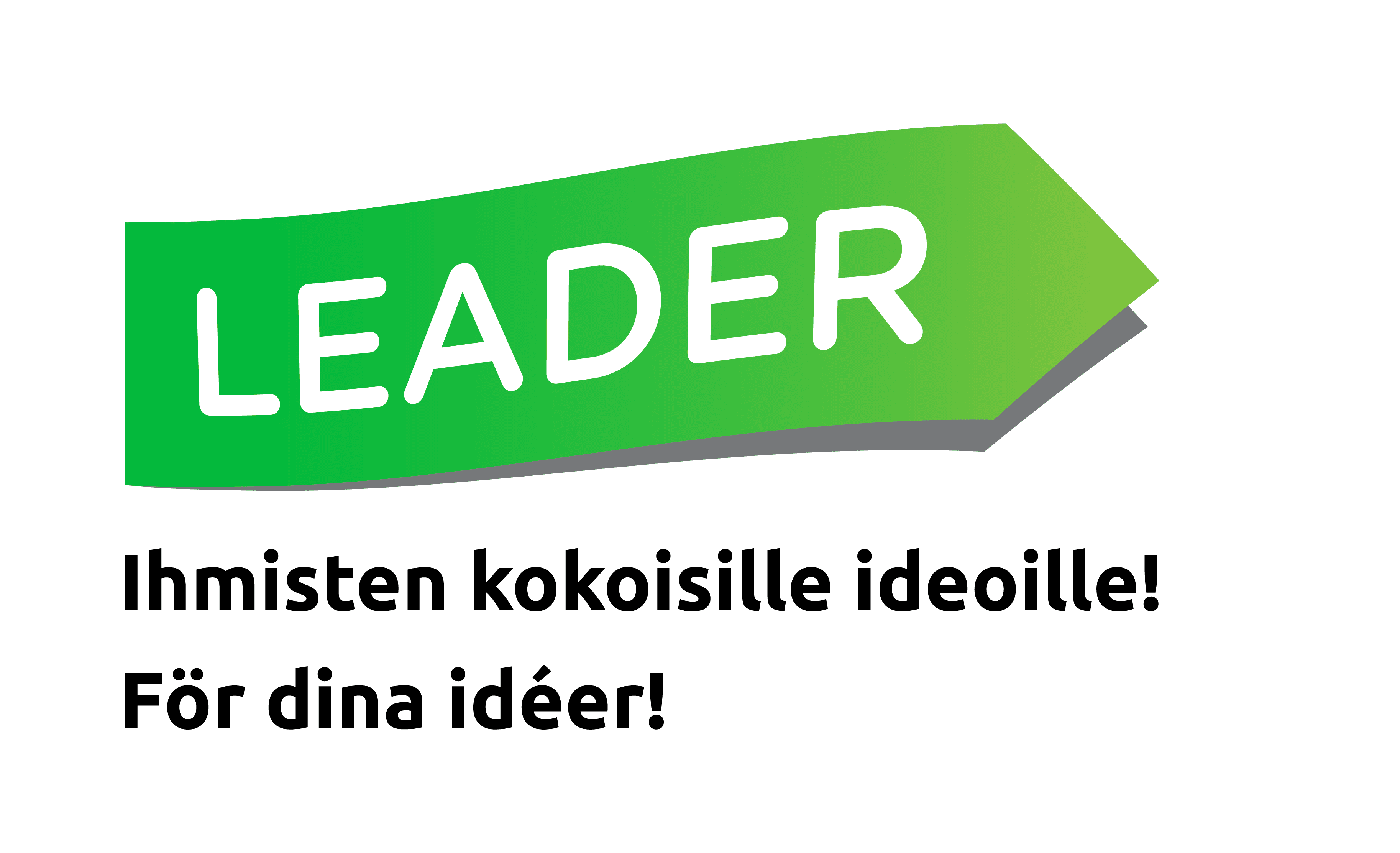 Leader